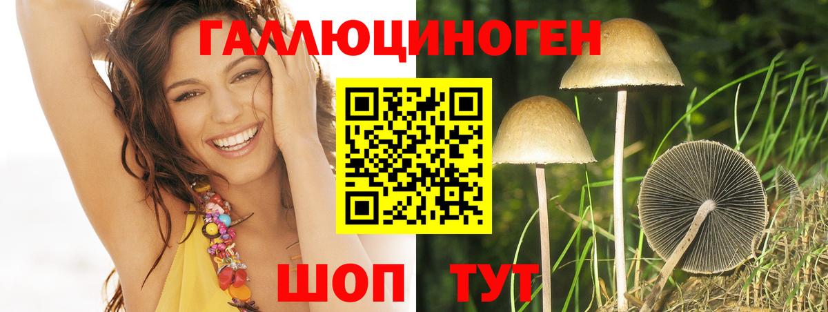 Галлюциногенные грибы ЛСД Мелеуз